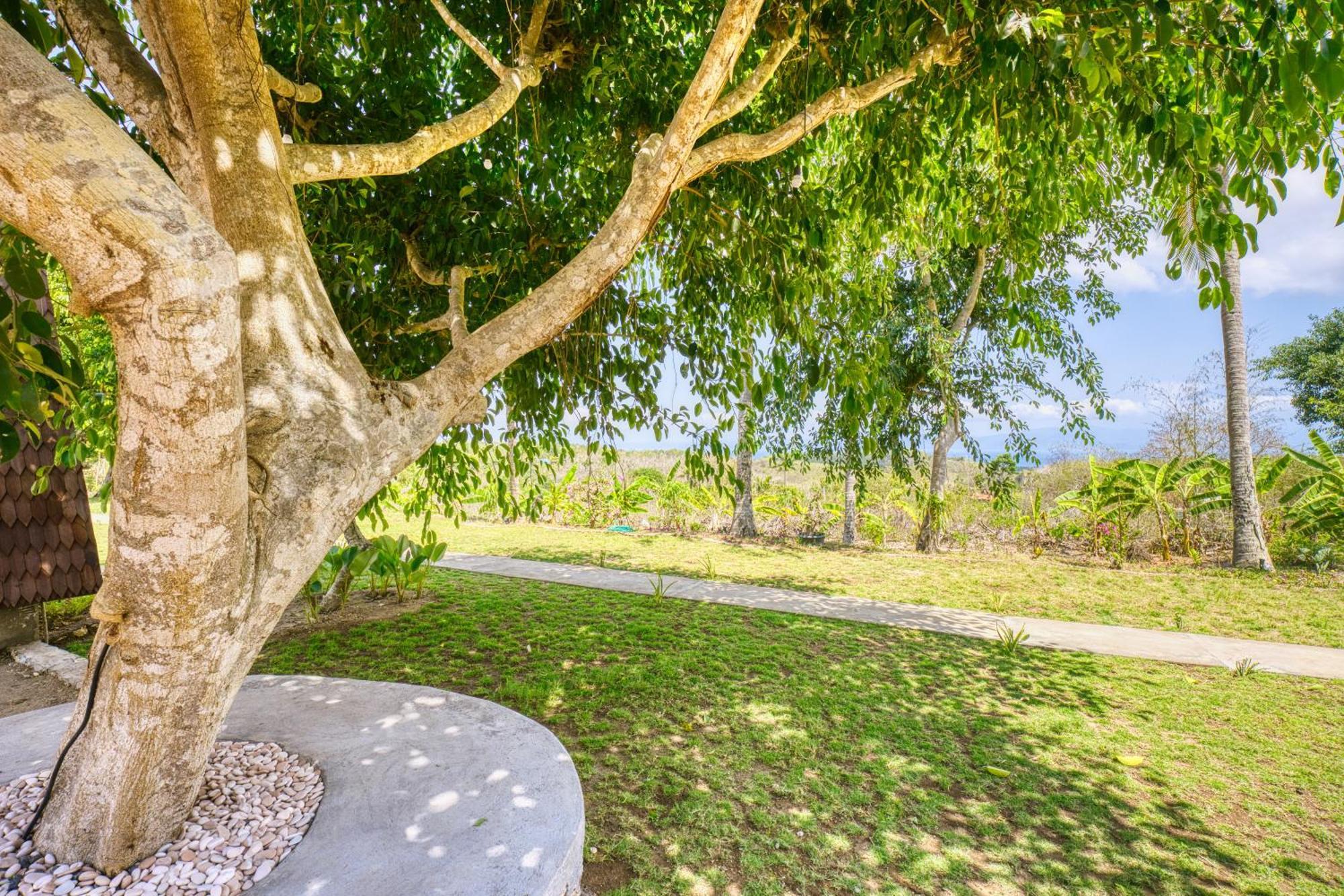 Nature Hill Penida Toyapakeh Ngoại thất bức ảnh
